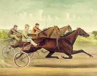 The grand trotting Queen Nancy Hanks driven by Budd Doble